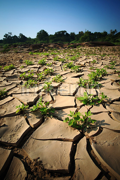이미지 미리보기