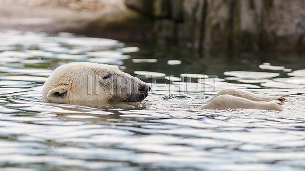 이미지 미리보기