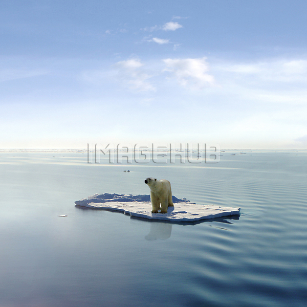 이미지 미리보기