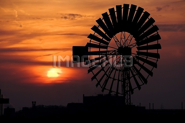 이미지 미리보기