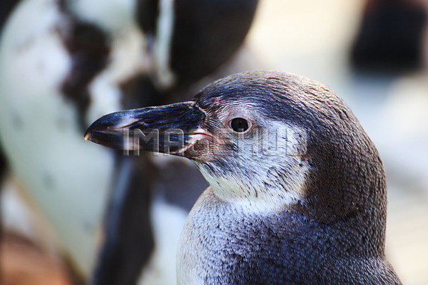 이미지 미리보기