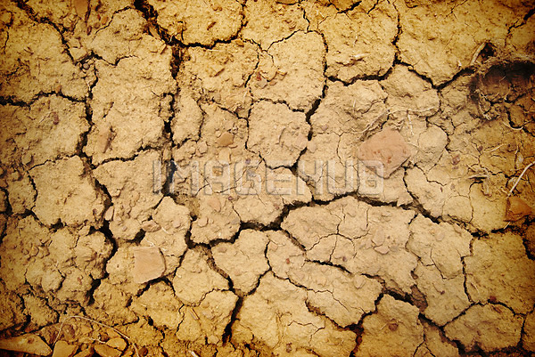 이미지 미리보기