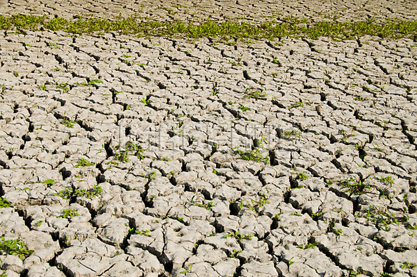 이미지 미리보기