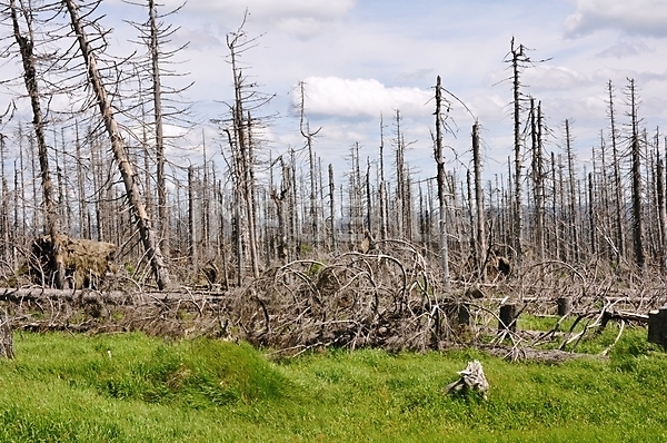이미지 미리보기