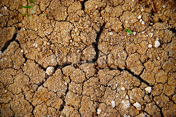 이미지 미리보기