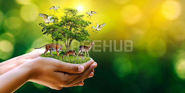 이미지 미리보기