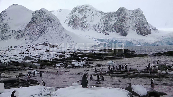 이미지 미리보기