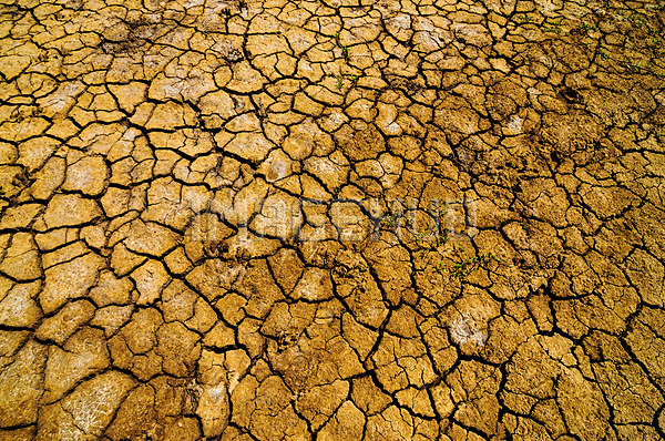 이미지 미리보기