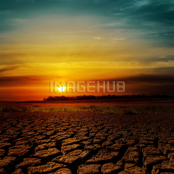 이미지 미리보기