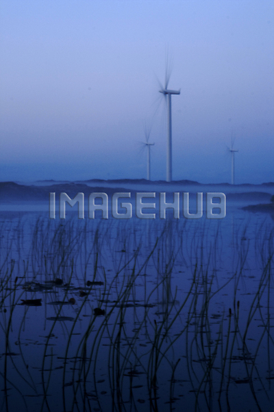 이미지 미리보기