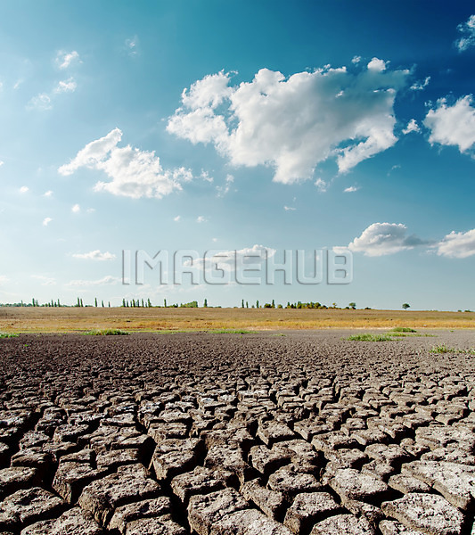 이미지 미리보기