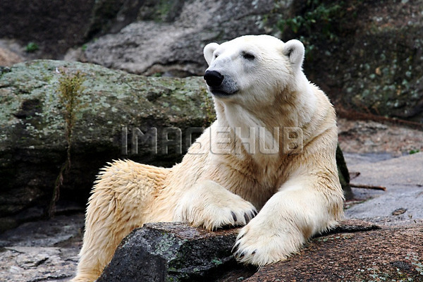 이미지 미리보기