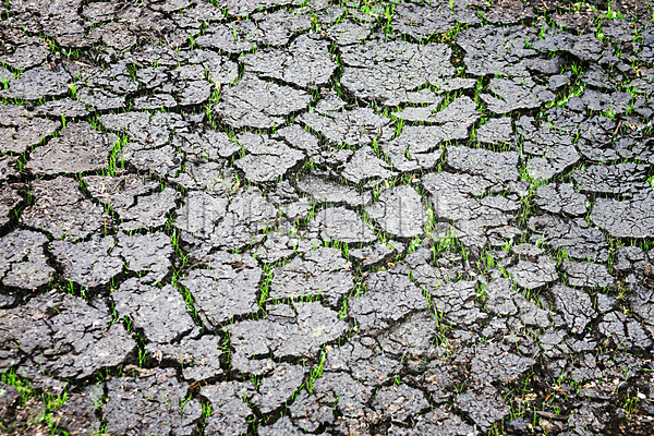 이미지 미리보기