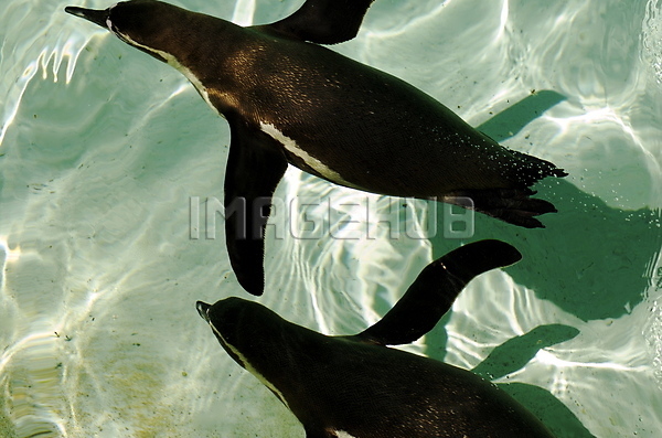 이미지 미리보기