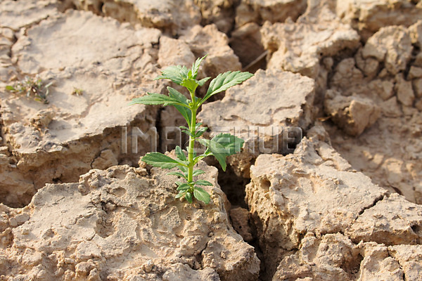 이미지 미리보기