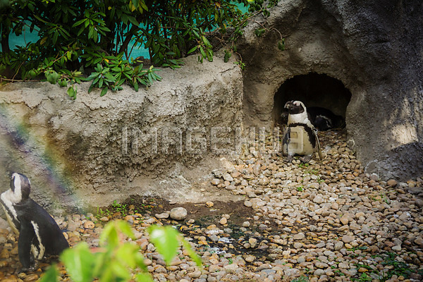 이미지 미리보기