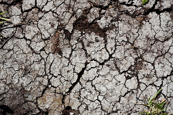 이미지 미리보기