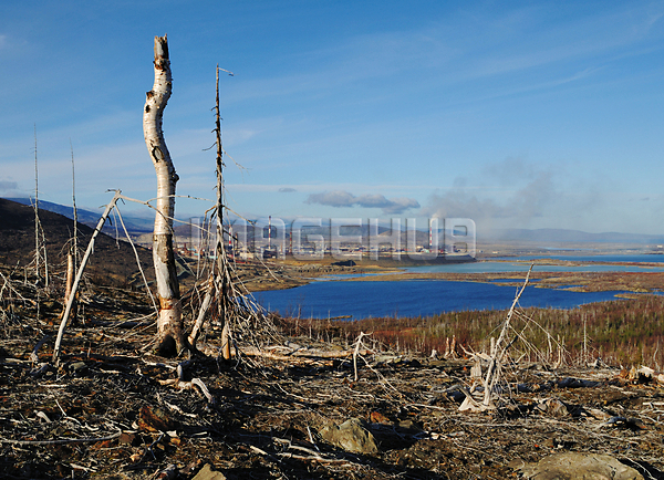 이미지 미리보기
