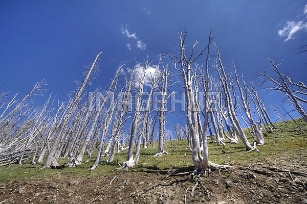 이미지 미리보기