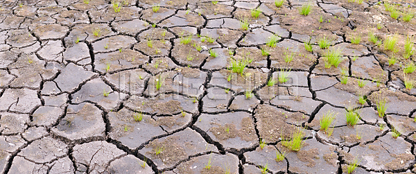 이미지 미리보기