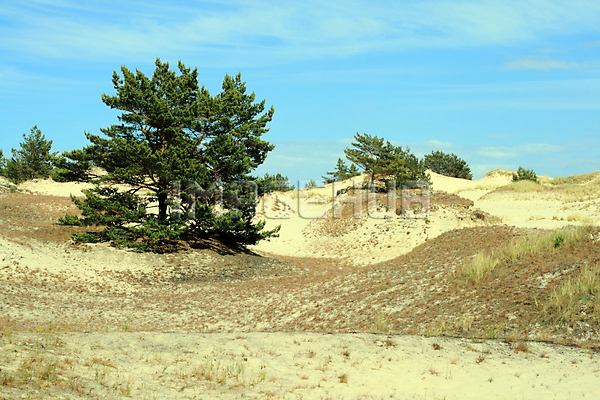 이미지 미리보기