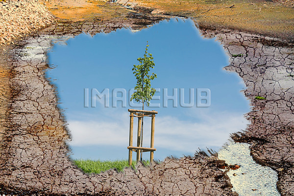 이미지 미리보기