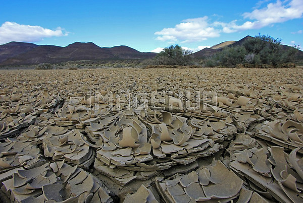 이미지 미리보기