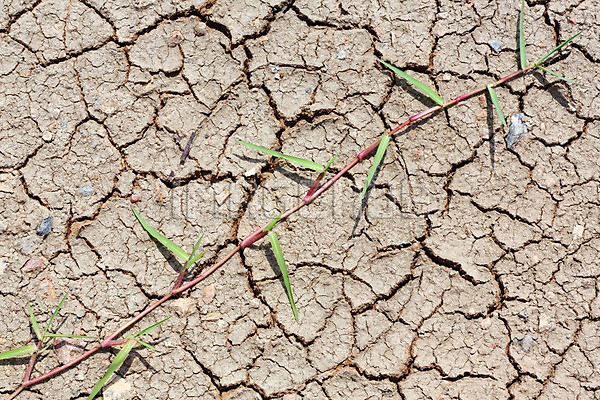 이미지 미리보기