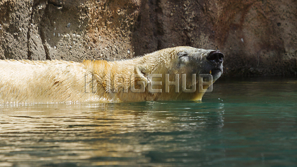 이미지 미리보기