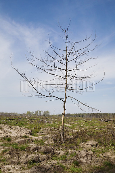 이미지 미리보기