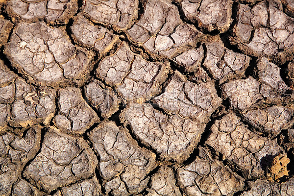 이미지 미리보기