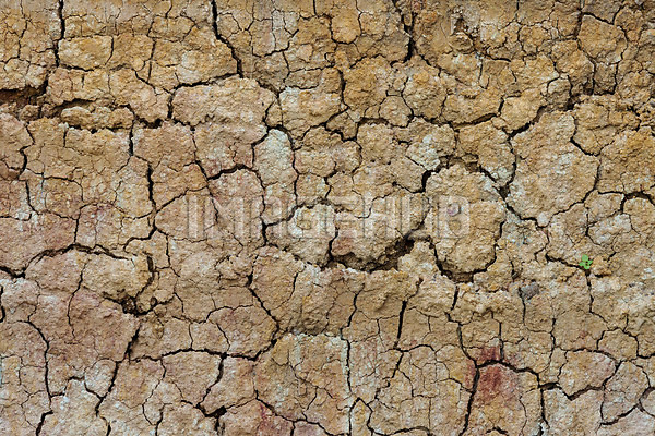 이미지 미리보기