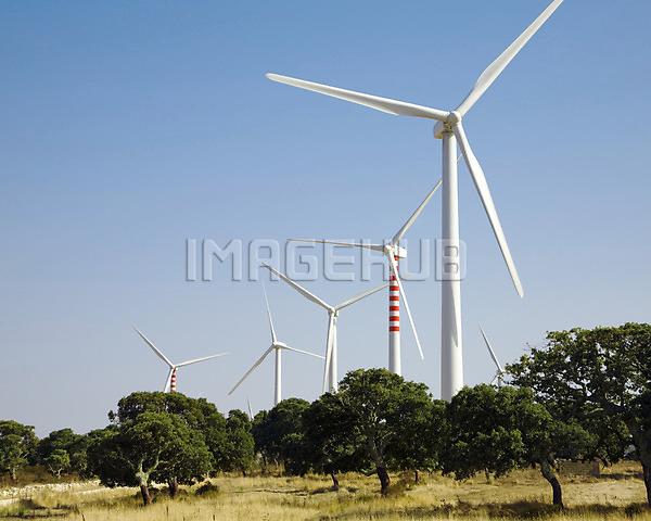 이미지 미리보기