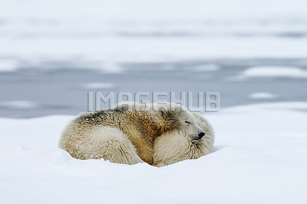 이미지 미리보기