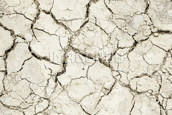 이미지 미리보기