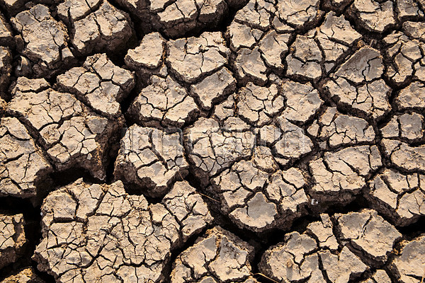 이미지 미리보기