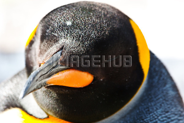 이미지 미리보기