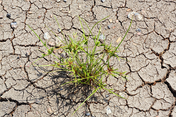 이미지 미리보기