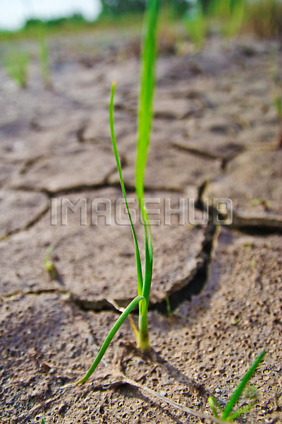 이미지 미리보기