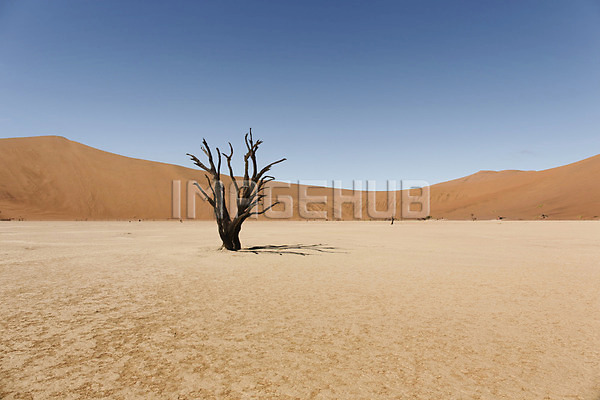 이미지 미리보기