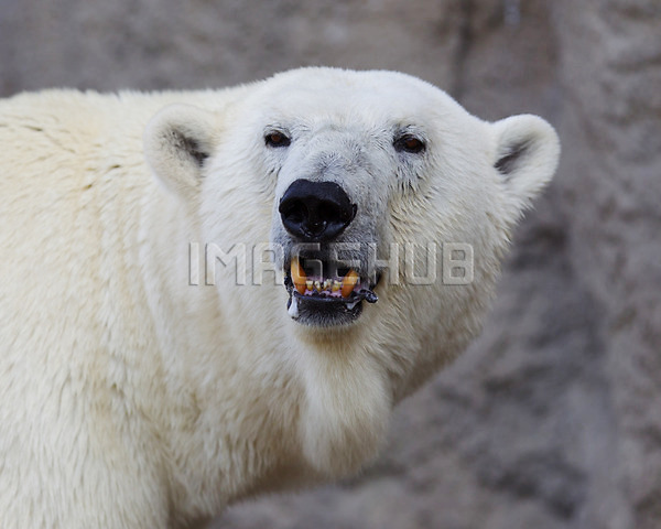 이미지 미리보기