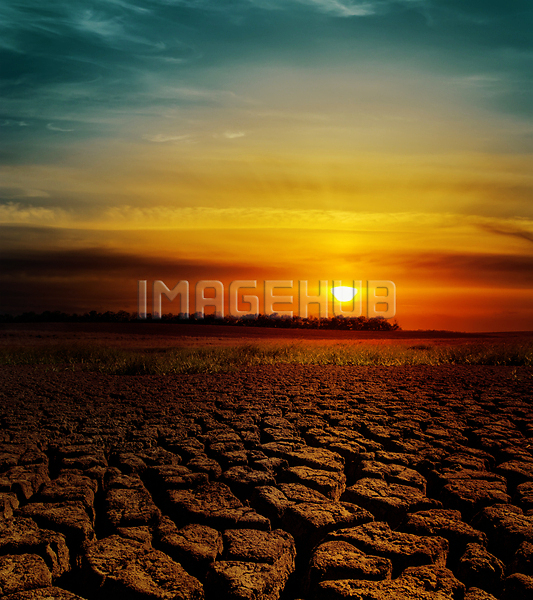 이미지 미리보기