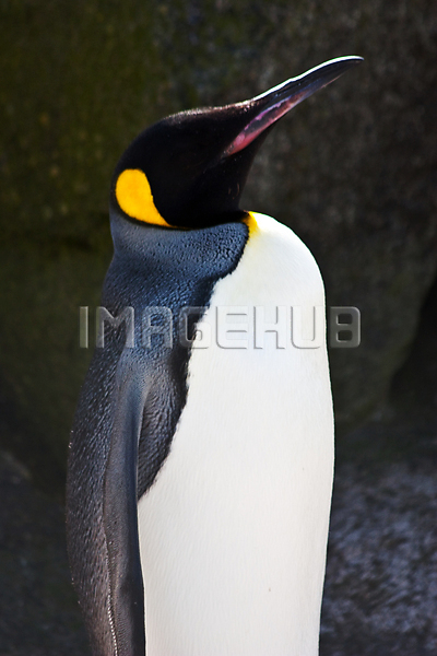 이미지 미리보기