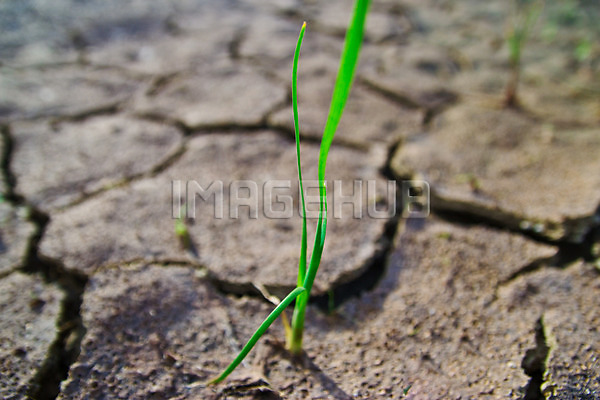 이미지 미리보기