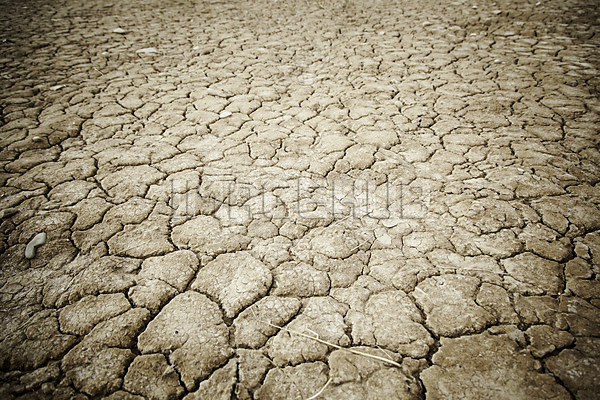 이미지 미리보기