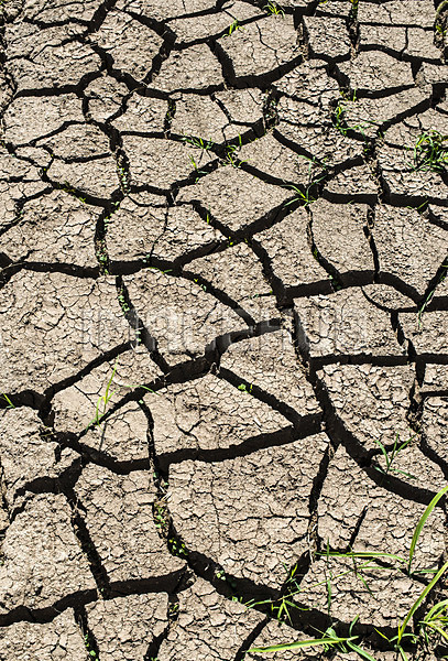 이미지 미리보기