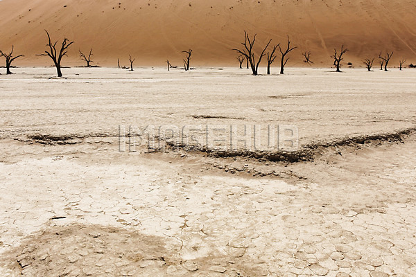 이미지 미리보기