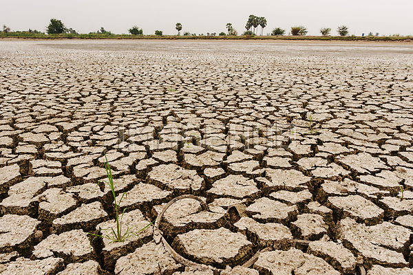 이미지 미리보기