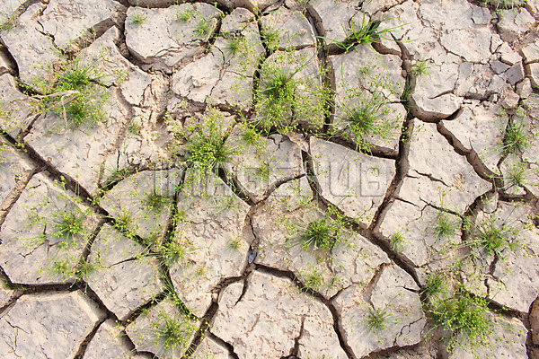 이미지 미리보기