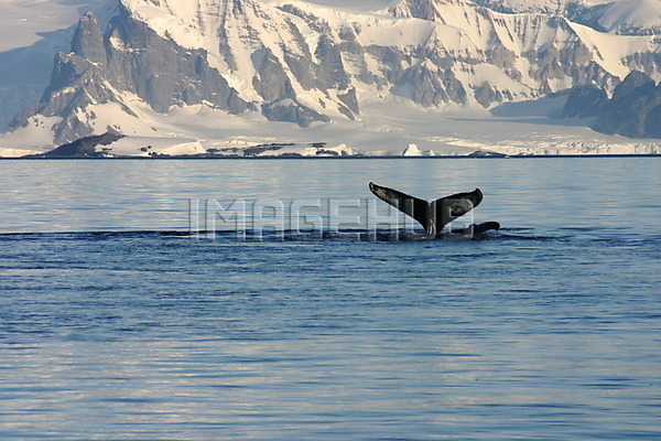 이미지 미리보기